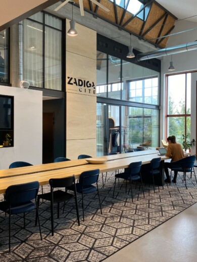 Zadiga Apsi Quotient Emotionnel des lieux