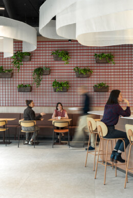 Mylight Apsi Sylvain Martin 08WEB