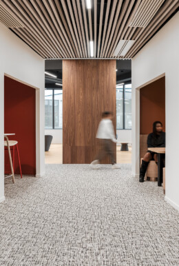 Mylight Apsi Sylvain Martin 12WEB