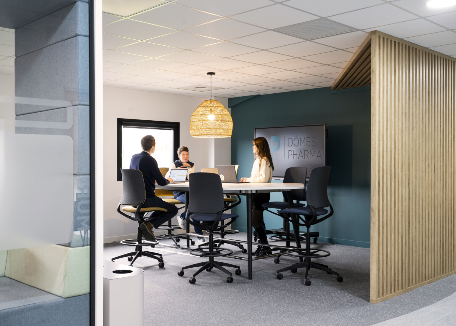 APSI Dômes Pharma 36©G Perret