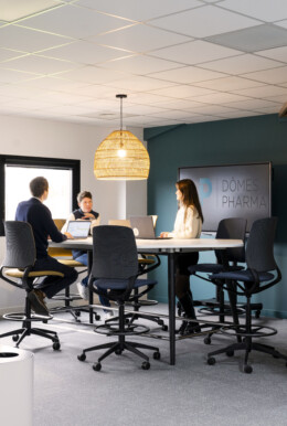 APSI Dômes Pharma 36©G Perret